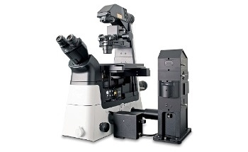 WITec alpha300 Ri -倒置共聚焦拉曼成像显微镜