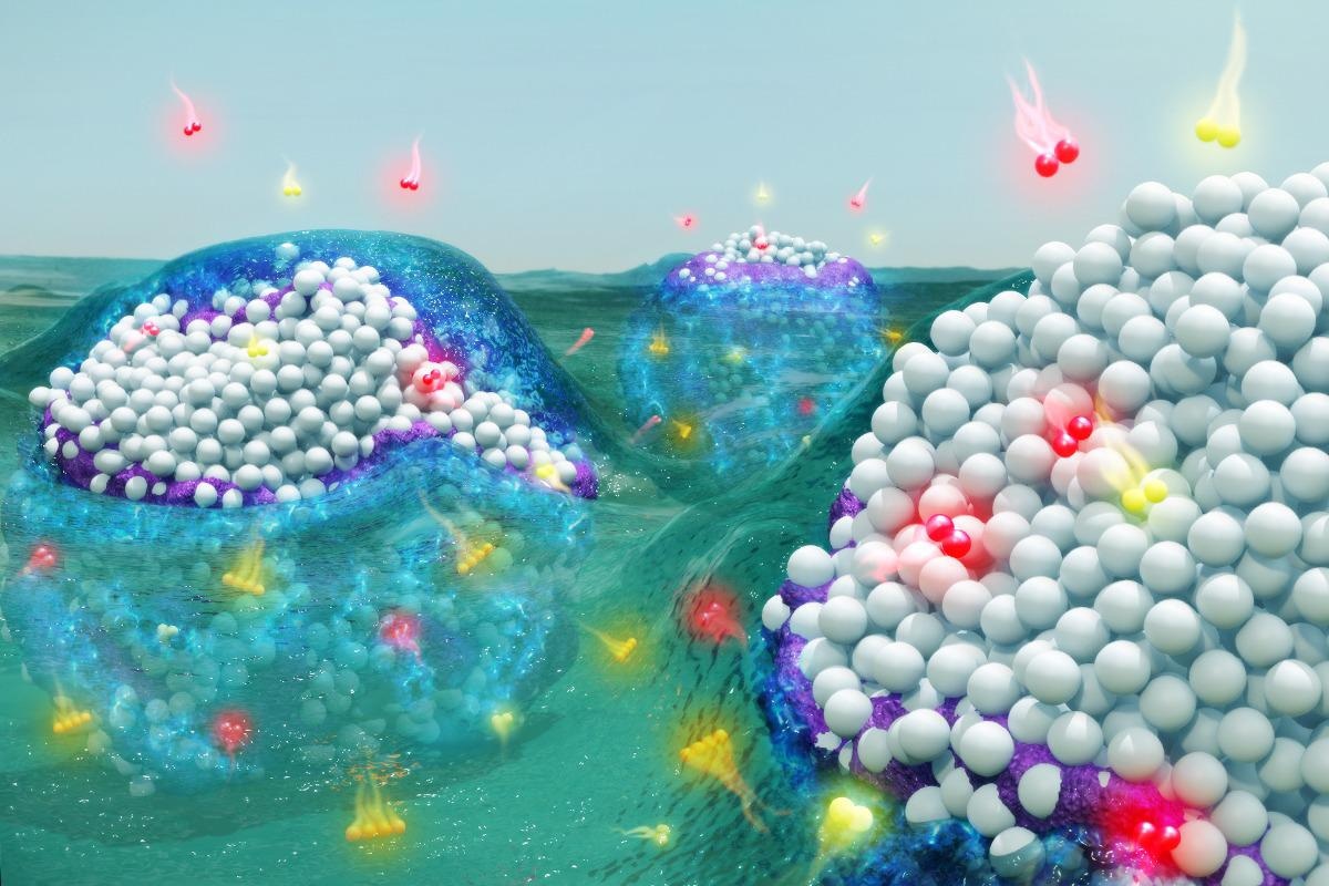 Illinois researchers are part of a multi-institutional team that found that solvents spontaneously react with metal nanoparticles to form reactive complexes that can improve catalyst performance and simultaneously reduce the environmental impact of chemical manufacturing.