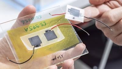 Biodegradable Mini-Capacitor Could be Used in the Internet of Things