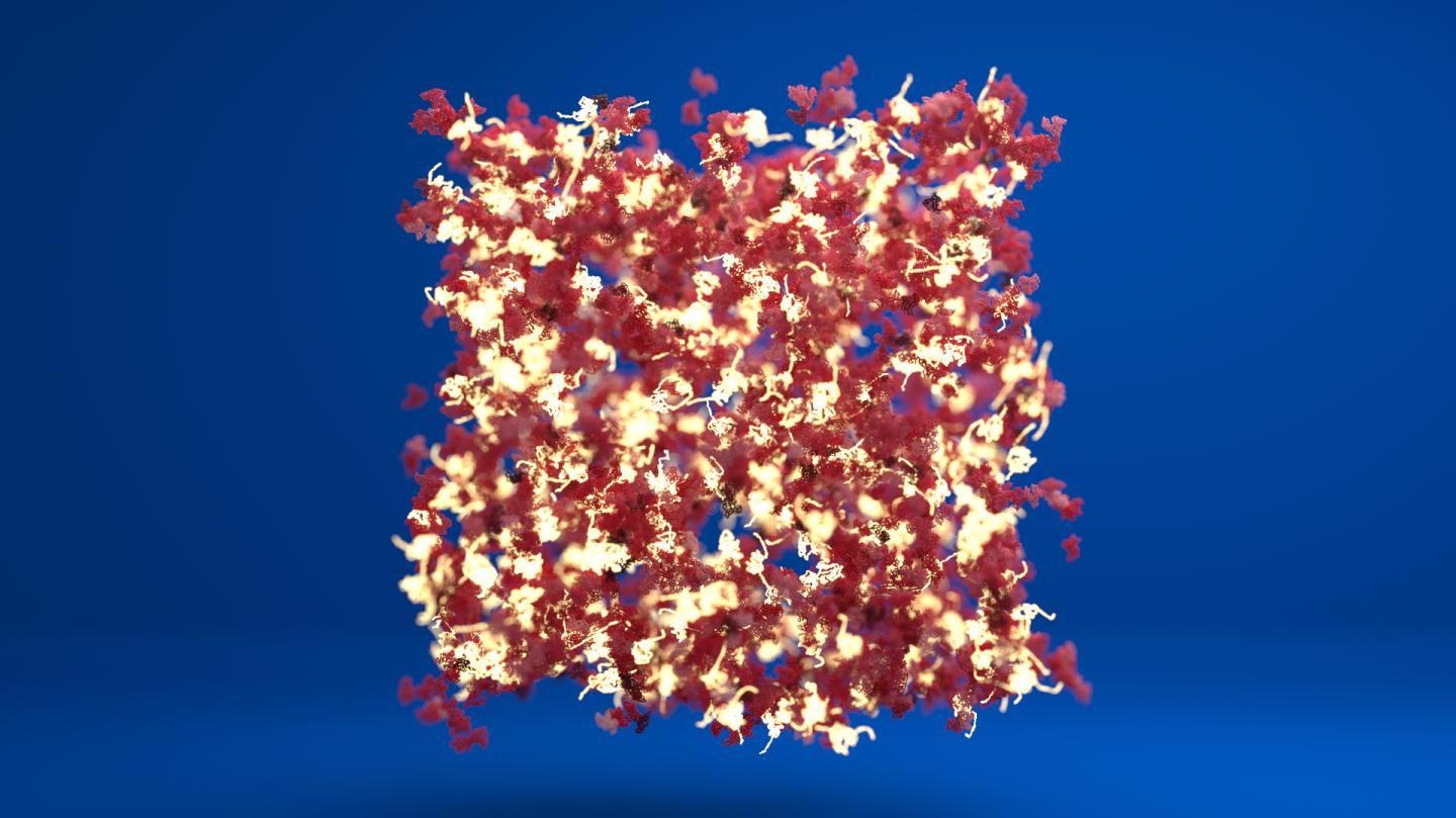 New Method Helps Develop a New Generation of Protein-Based Synthetic Biomaterials