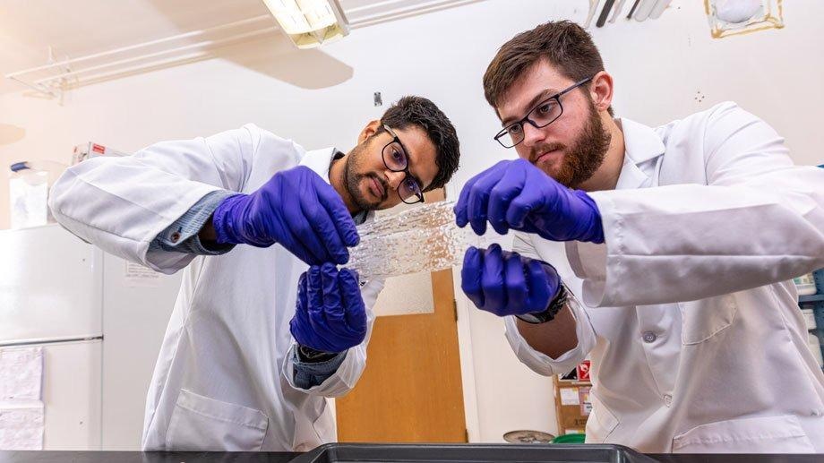 Researchers Produce Biodegradable Films from Agricultural Residues.