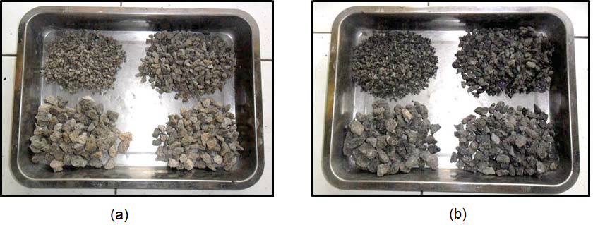 Four fractions of coarse aggregate: (a) Pumice and (b) Scoria.