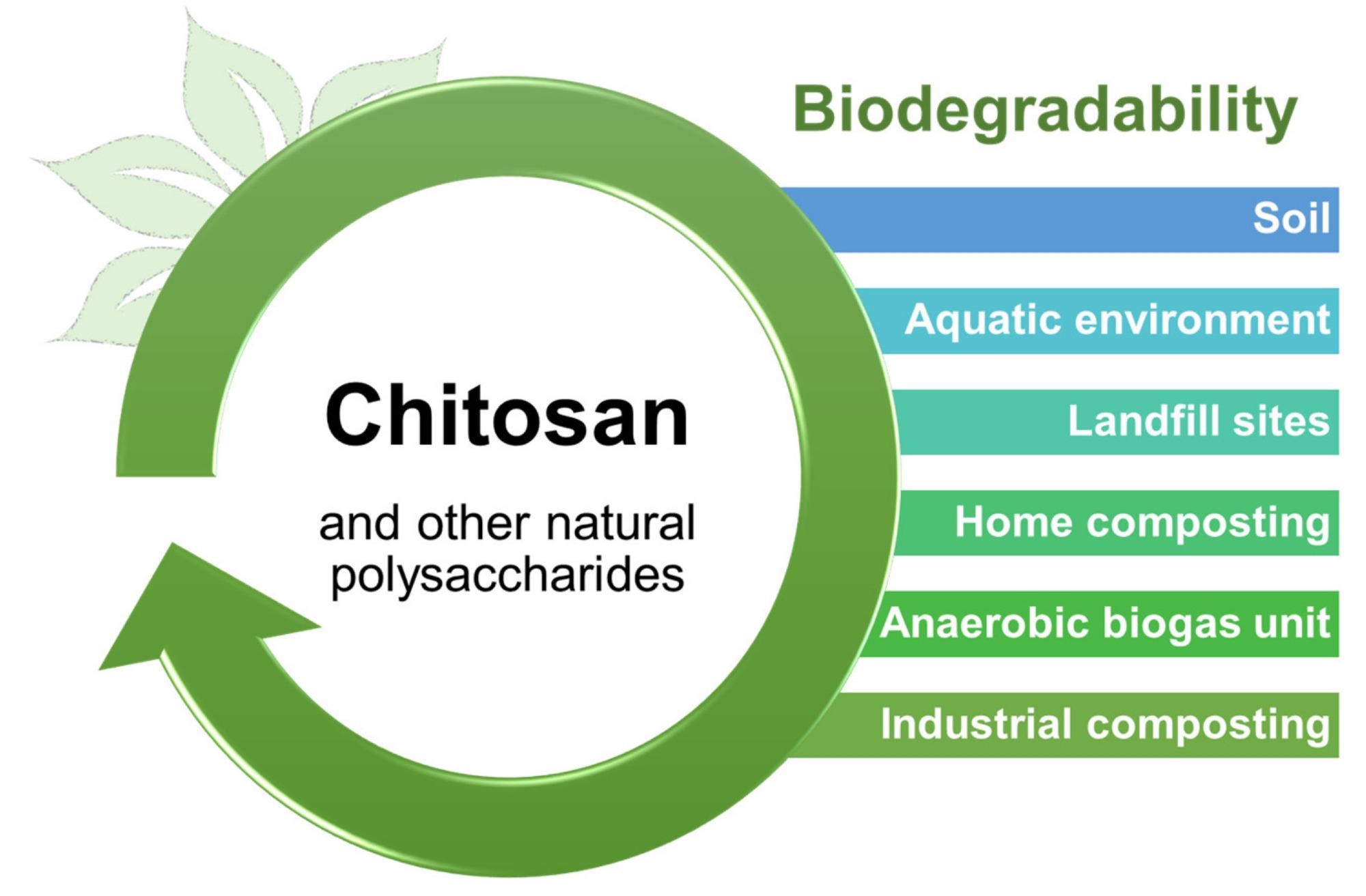 Biodegradability of chitosan and other natural polymers and on various environments