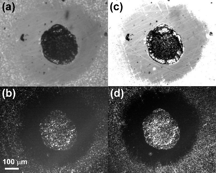 Representative speckle images of one n-CLR (Membrane A, ??ED = -1.20 V). Light source: LED (a,c) and laser (b,d). Iris diphragm opening: 0.8 mm (a,b) and 3.5 mm (c,d).
