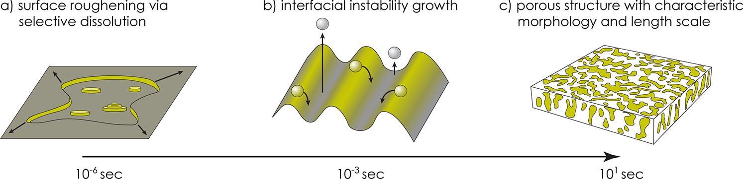 Graphic illustration of self-organization during dealloying of an AgAu alloy into an aqueous electrolyte. a) Selective dissolution of Ag drives the formation of Au-rich islands on the surface. b) These island perturbations trigger an instability that corrugates the surface with a characteristic wavelength. c) This instability grows in amplitude, exposing subsurface Ag, and dealloying proceeds into the material, eventually forming a bicontinuous Au-rich network.