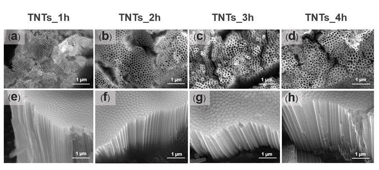 The FESEM micrographs showing the top and side morphological views of the titanium oxide nanotubes fabricated at 1 h (a,e), 2 h (b,f), 3 h (c,g) and 4 h (d,h). The morphology images depict the TNTs orientation and the size of the pores. The pores diameter of the nanotube increased with increase in the anodization time while the length decreased.