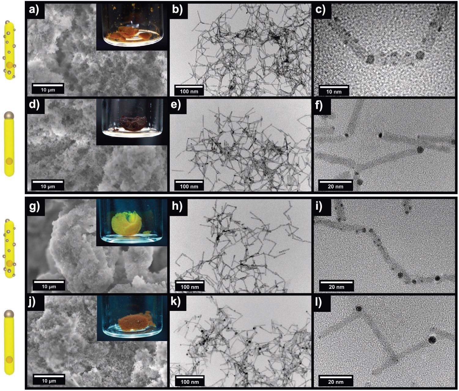 Comparative morphological overview of different hybrid aerogel networks assembled via a–f) H2O2 (upper panel) and g–l) Y3+ (lower panel). SEM images (a,d,g,j) and TEM images of random-NR aerogels assembled via H2O2 (b,c) and Y3+ (h,i) as well as tipped-NR aerogels assembled via H2O2 (e,f) and Y3+ (k,l). Insets of the SEM images show the photographs of the macroscopic aerogel monoliths.