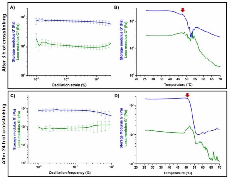 Amplitude sweep test (A,C) and temperature ramps (B,D) performed on GEN-Coll/nanoHA after 3 h and 24 h of incubation at 37 °C.