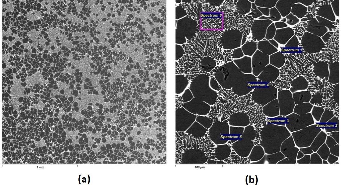 The electronic pictures of the microstructure and the EDX results of master alloys Al-4.2Er cast with a high cooling rate: (a) x40; (b) x400.