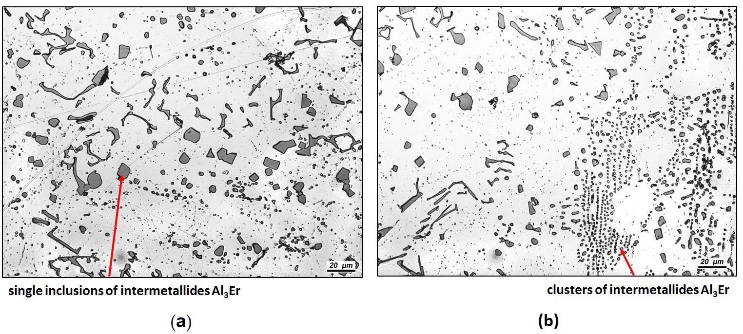 Microstructure of the master alloy composition Al-8Er: (a) x500; (b) x500.