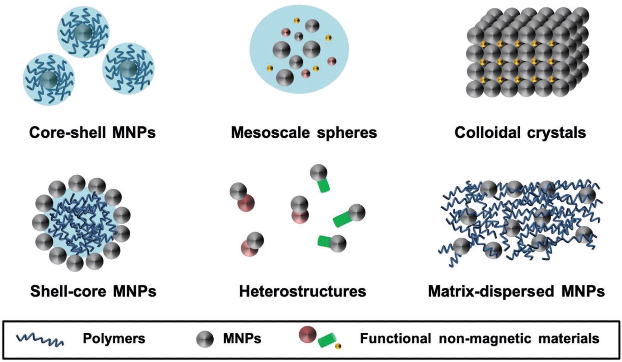 Various morphologies of MNCs. Core–shell MNPs are protected by an organic coating (e.g., polymers, ligands), whereas MNPs constitute the external layer in shell–core systems. In mesoscale spheres, MNPs are dispersed in mesoscale spherical assemblies. Heterostructures (Janus type) are bimodular materials composed of one magnetic and one nonmagnetic functionality. MNPs can be dispersed in polymeric matrices or organized in ordered crystalline configurations.