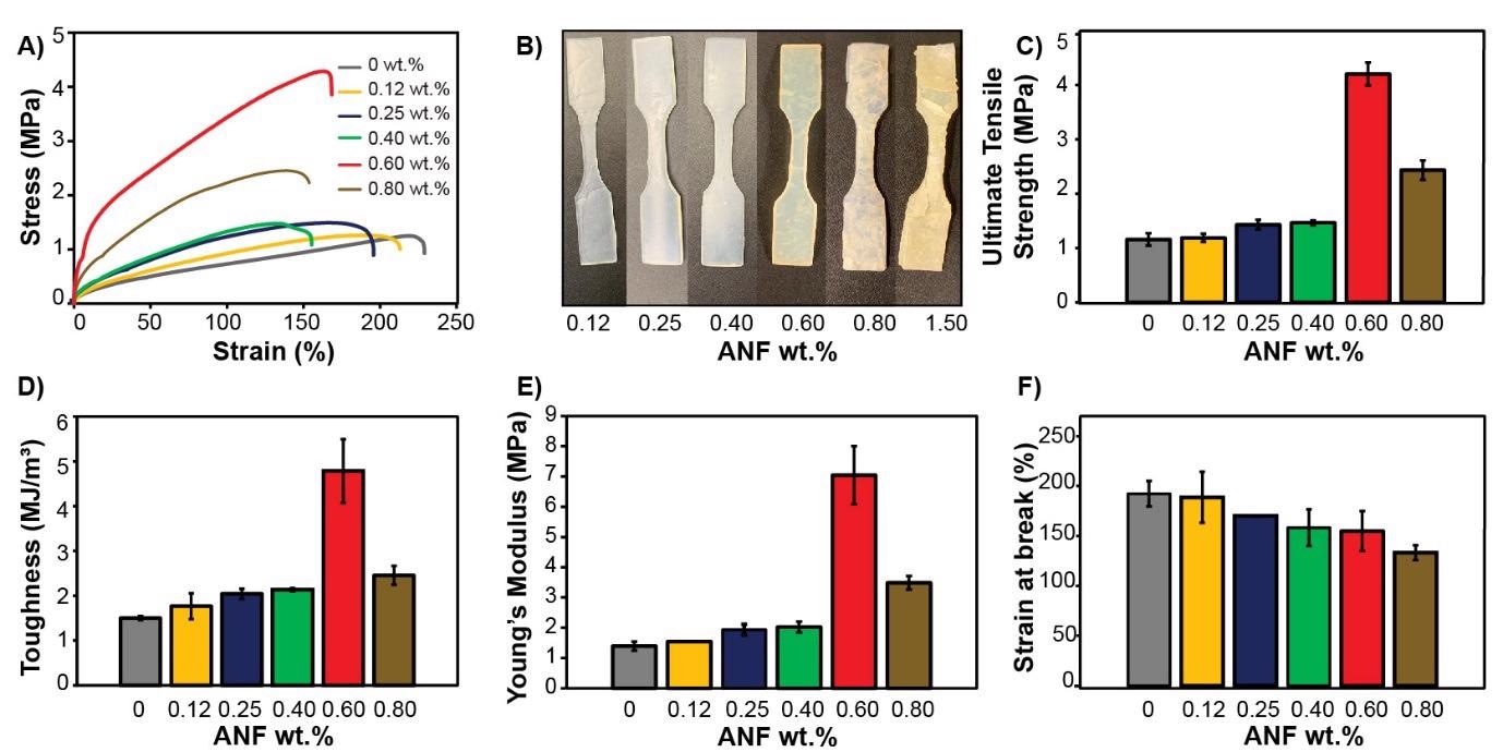 Evaluation of mechanical properties of the control photoresin and the ANF nanocomposites. (A) SLA printed tensile specimens of nanocomposites with different concentrations of ANFs (B) Representative stress-strain curves (C) Ultimate tensile strength (D) Toughness (E) Young’s modulus (F) Strain at break of the control photoresin and nanocomposites with different concentrations of ANFs.
