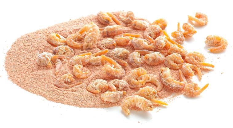 Omani Shrimp Shells: Sources of Polymeric Chitosan and Minerals