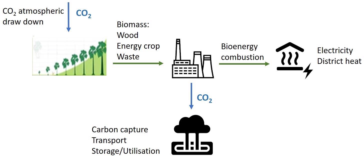 Bioenergy with carbon capture and storage (BECCS) technology.