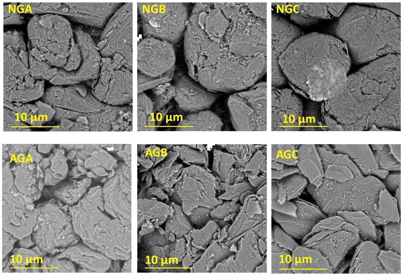 SEM images of the different 169 graphite electrodes in this work.