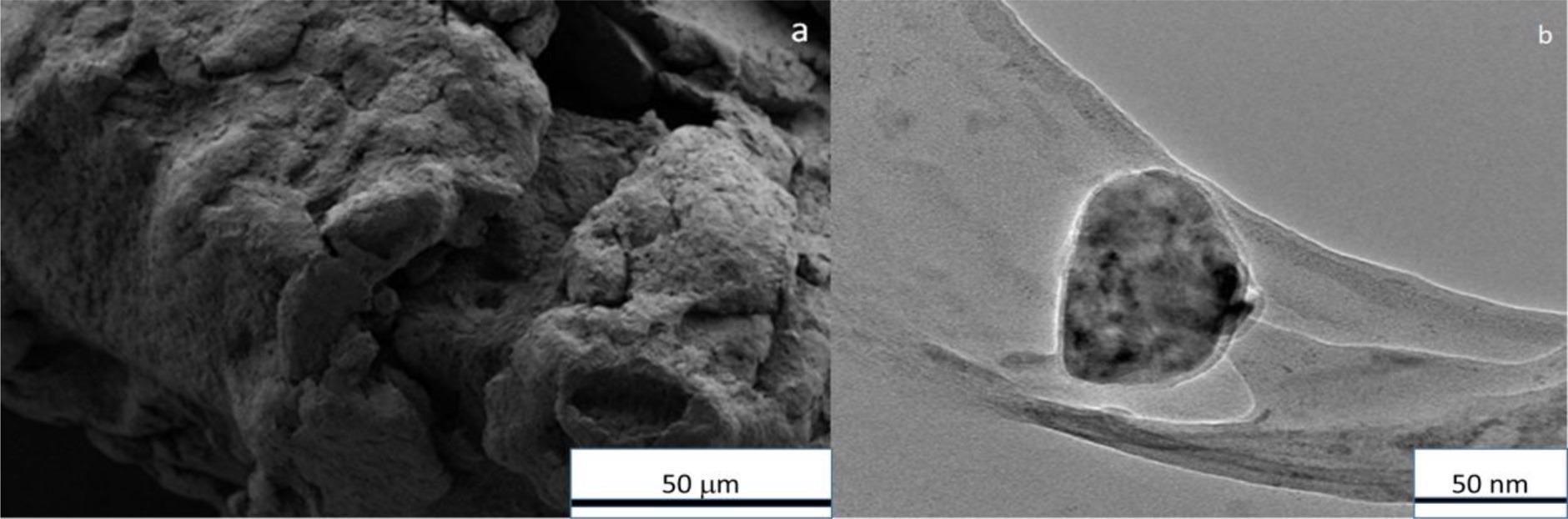 (a) Field Emission-SEM images of the Fe-Cu powder (b) TEM of FeCu material showing a small cluster of FeCu [25].