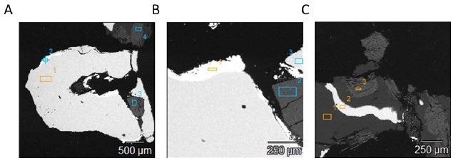 Scanning electron microscopy (SEM) images showing specific locations of the resin block (A–C) used for determining elemental composition of PCBs for <365 µm fraction size with energy-dispersive X-ray spectroscopy (EDS) analysis as shown in Table 4. Details on the specific spectral peaks at these locations can be found in Supplementary Figures S1–S3.