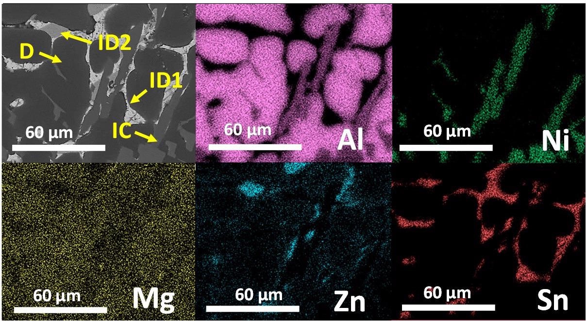 SEM image and EDS elemental mapping of the as-cast Al80Mg5Sn5Zn5Ni5 alloy.