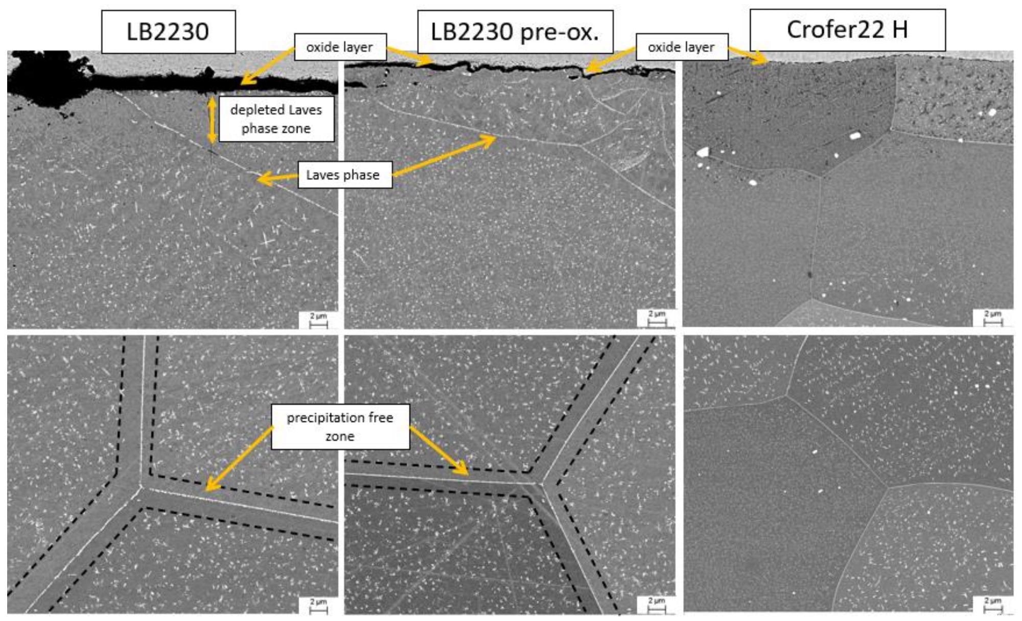 SEM images of Laves phases precipitation in LB2230, pre-oxidized LB2230 and Crofer®22 H after 550 h of discontinuous corrosion testing in solar salt at 600 °C.