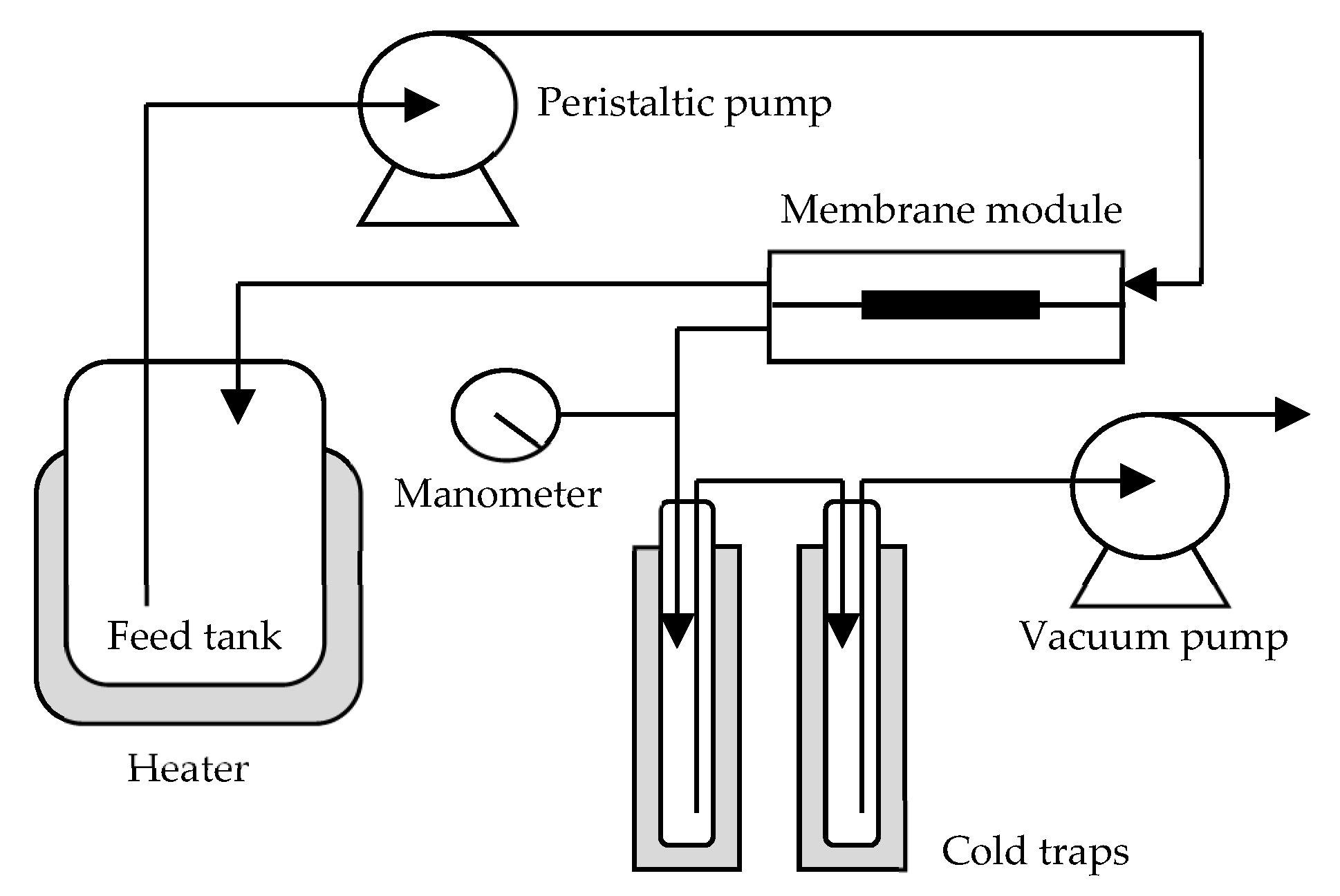 Schematic diagram of the pervaporation process in this study.