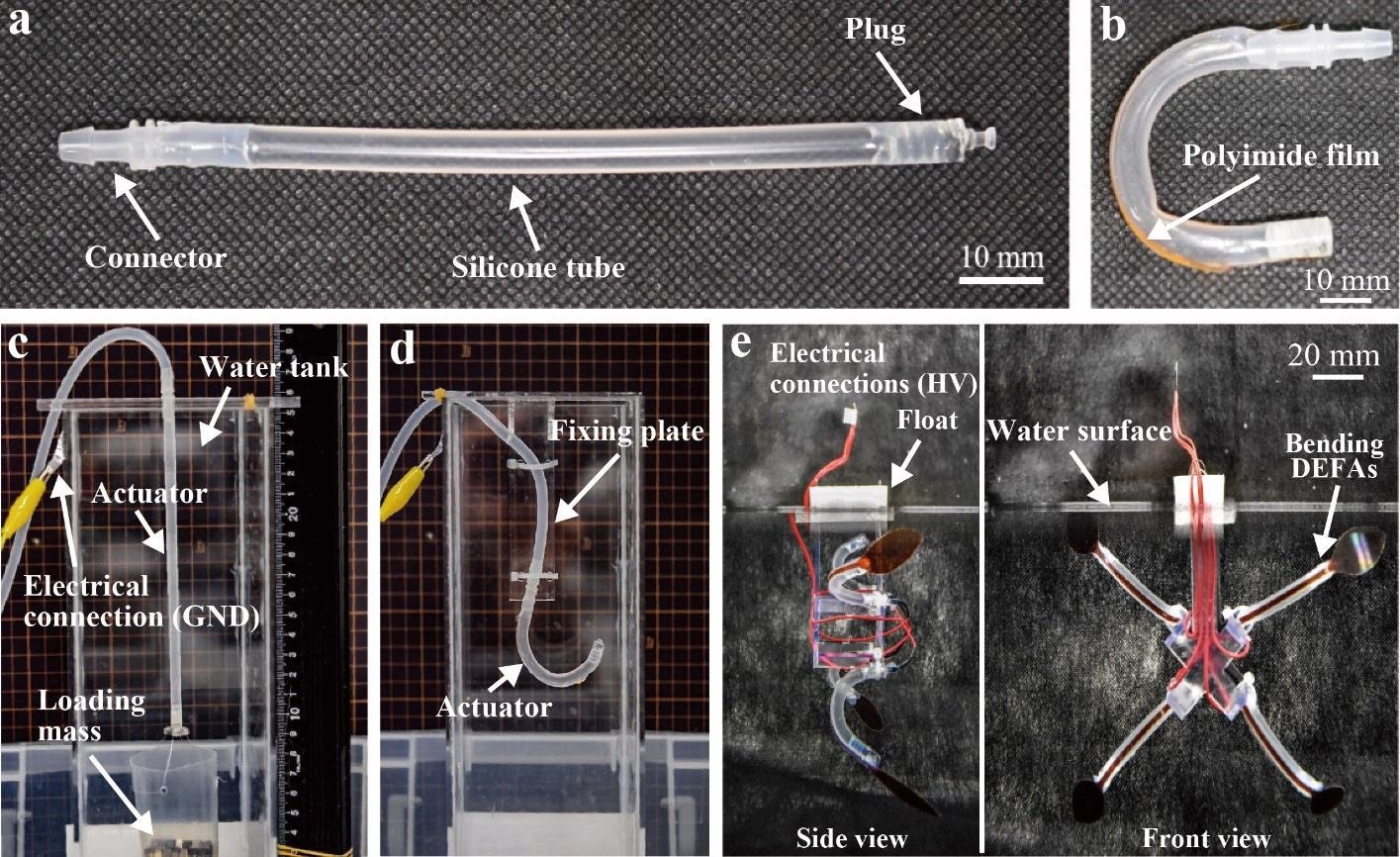 (a) Fabricated linear-type DEFA (without aqueous electrode). (b) Fabricated bending-type DEFA (without aqueous electrode). (c) Experimental setup to characterize linear-type DEFA and (d) bending-type DEFA. (e) Jellyfish-type underwater robot using four bending-type DEFAs.