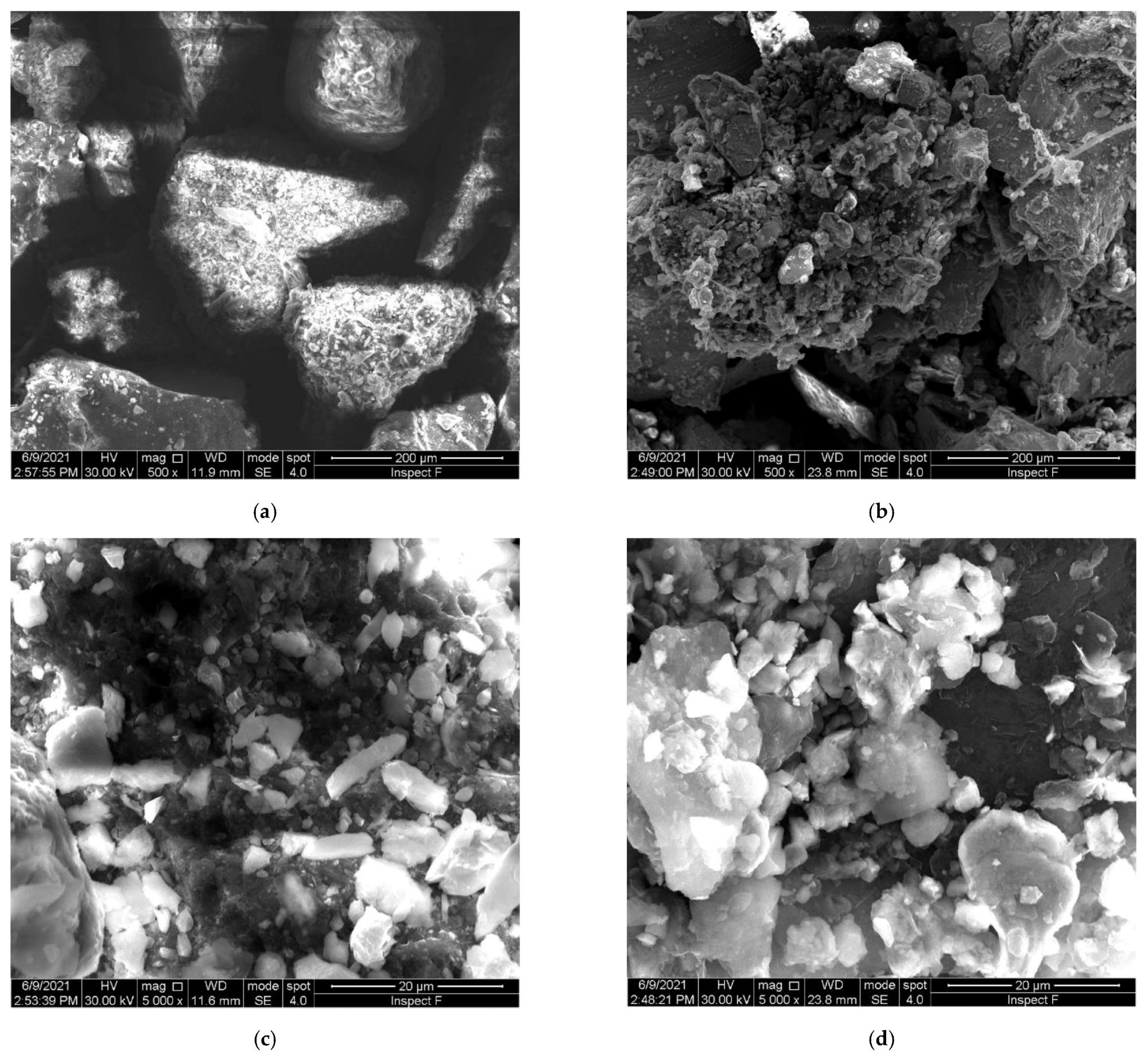 SEM images from SNSF and IFW.  (a) FNS, 0.5kx, (b) IFW, 0.5kx, (c) FNS, 5kx, (d) IFW, 5kx.