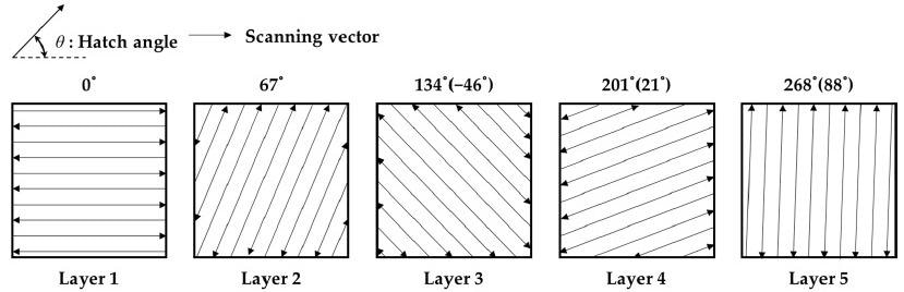 Schematic of 67° rotation increments of a layer using a raster scanning strategy.