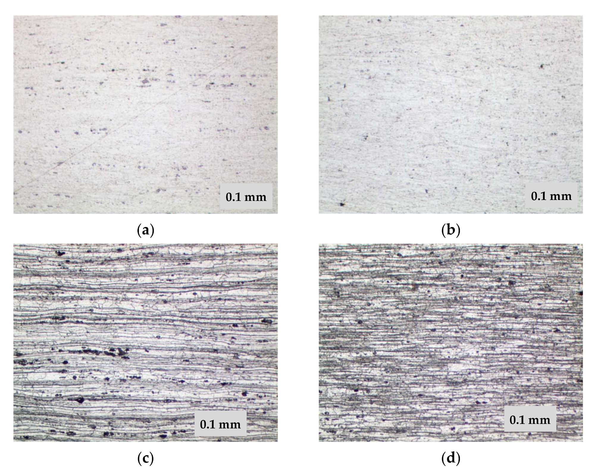 Microstructure of 1420 alloy after standard heat treatment (a,c) and after TVT (b,d), x200: (a,b) not etched surface; (c,d) after etching.