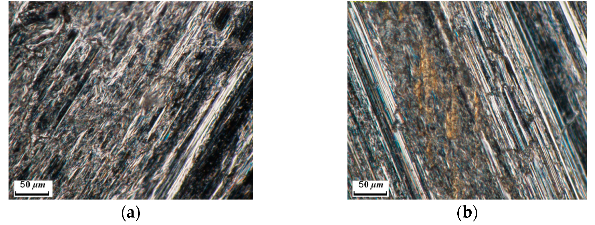 Wear tracks of the BT22 alloy: (a) untreated; (b) nitrided (light microscopy).