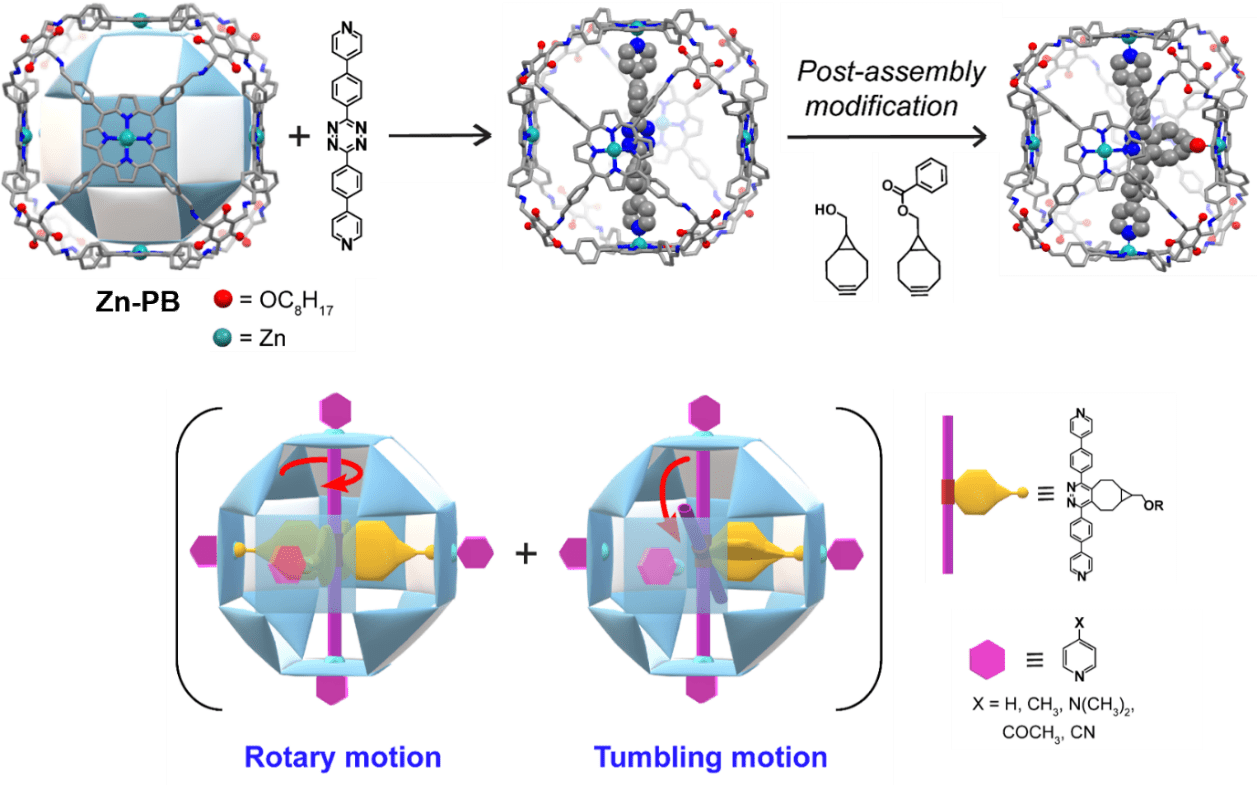 Building Molecular Rotor Within Nanostructured Cage Allows for the Creation of Flexible Molecular Device.