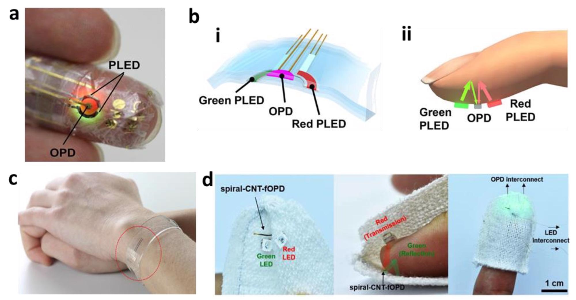 Photoplethysmography. (a) Photo of an ultra-flexible organic optical sensor. (b) Illustration of polymer LED (i) and organic photodiode (ii) pulse oximeters. (c) Photo of a graphene-based flexible sensor in a heart-rate monitoring bracelet. (d) Photos of CNT-based microelectrodes for a fiber optoelectronic device.