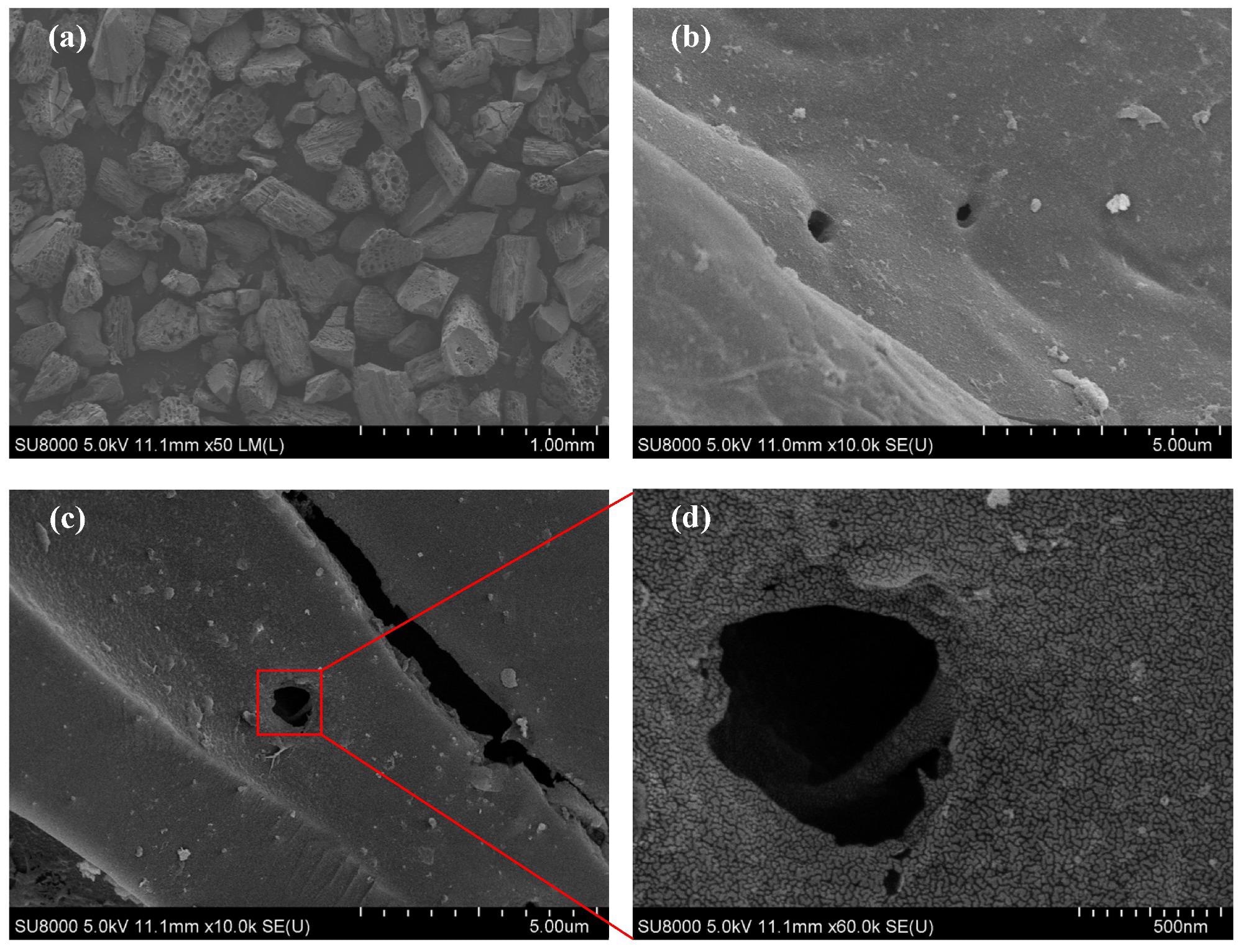 SEM patterns of bamboo charcoal (a,b) and N-doped bamboo-based activated carbon (c,d).
