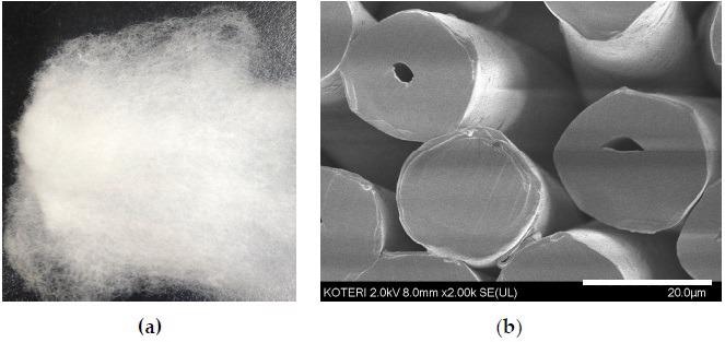 Graphene oxide polyester fiber (a) and its cross-sectional shape (b).
