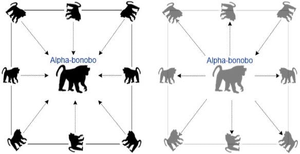Movement directions of bonobos in pp (dark forms) and np (light forms) with higher probabilities.