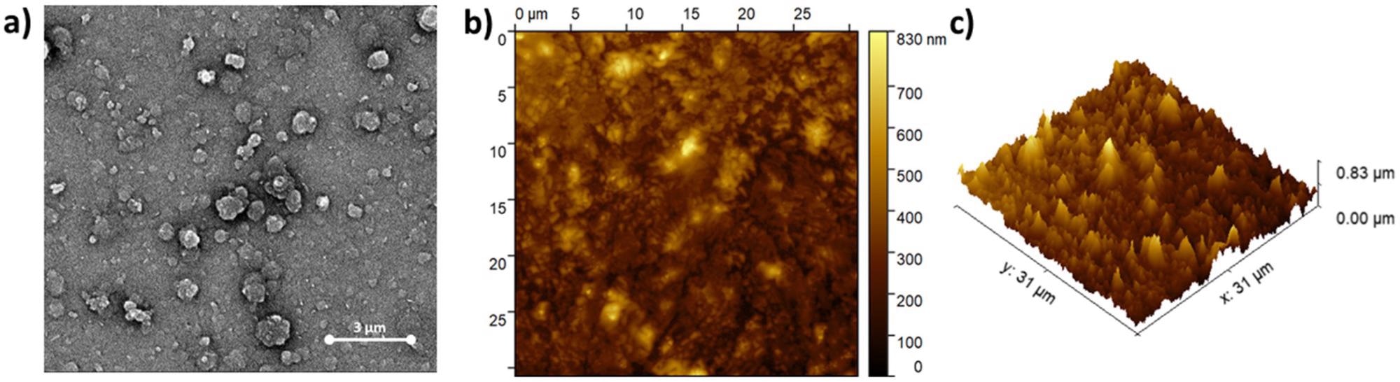 (a) SEM and (b,c) AFM images of (ZnPcNH2)layer electrodeposited on ITO.
