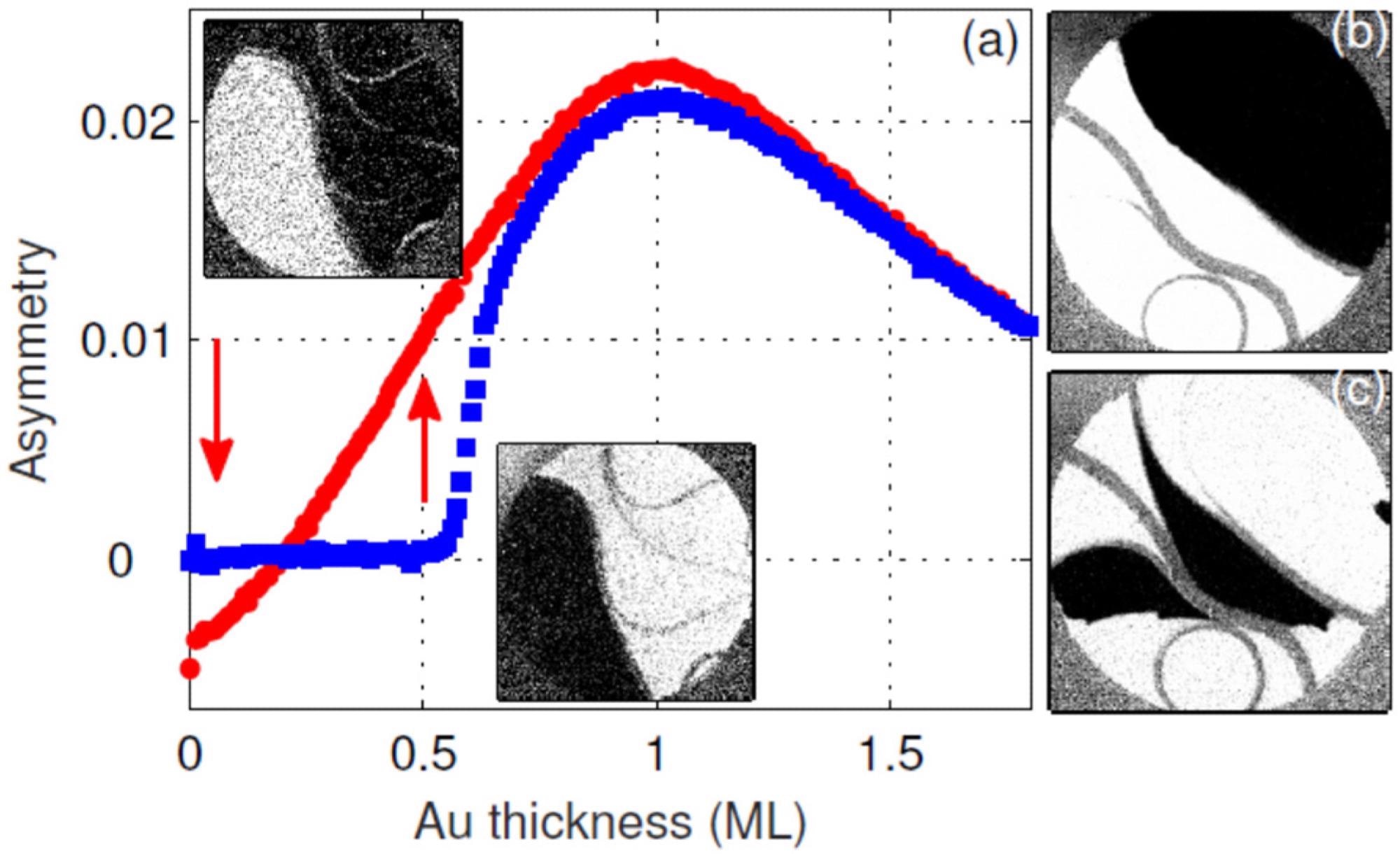 (a) Asymmetry vs Au capping layer coverage. The SPLEEM images in the inset were taken at Au coverages shown by the arrows. In (b,c) SPLEEM images taken before ferromagnetic-paramagnetic and after paramagnetic-ferromagnetic phase transitions, respectively. The gray features, e.g., circle, denote step bunches that are paramagnetic. Electron energy 3.5 eV, field of view 12 µm.