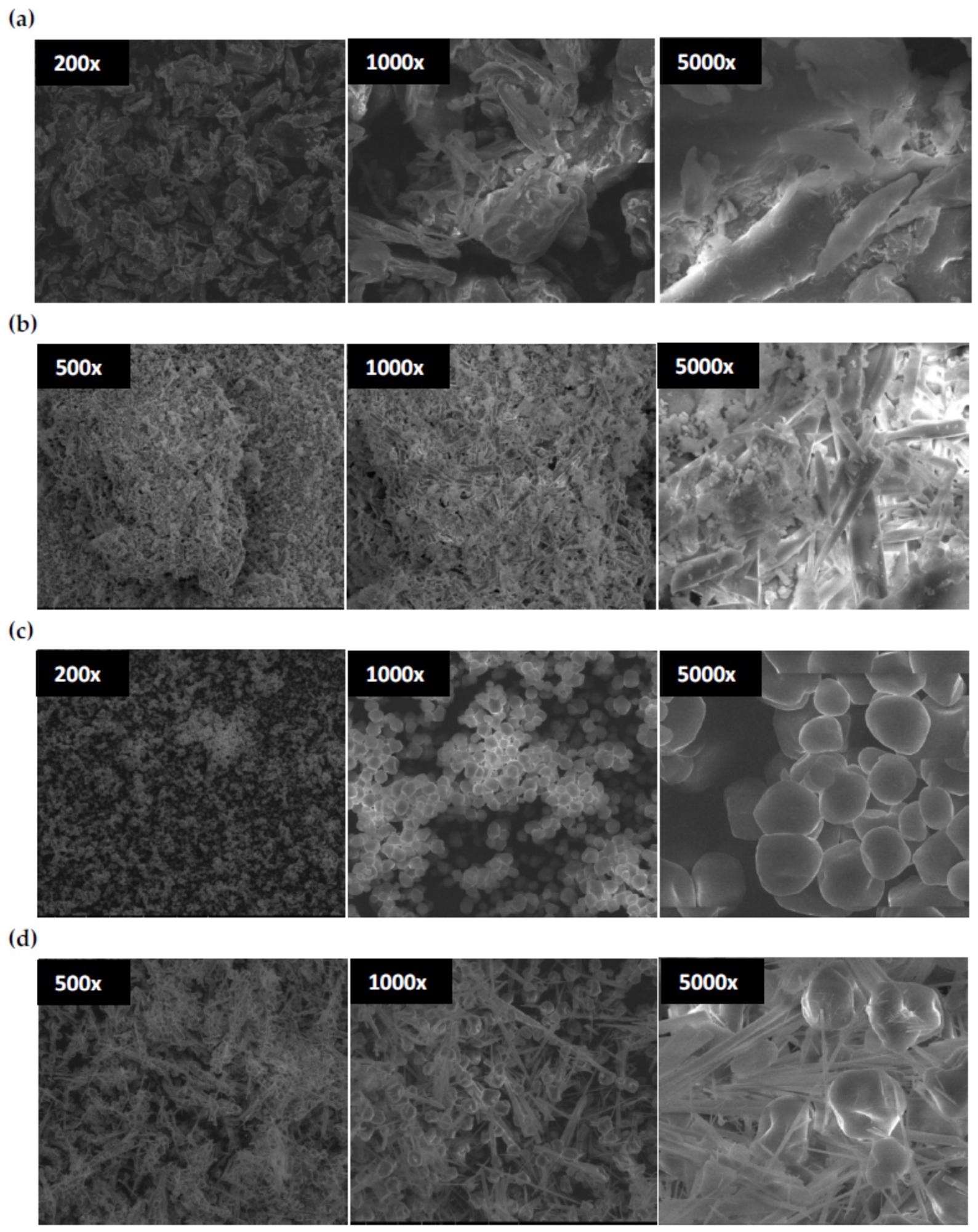 SEM images of chitosan (a), dialdehyde chitosan (b), corn starch (c), dialdehyde starch, (d) at different magnification.