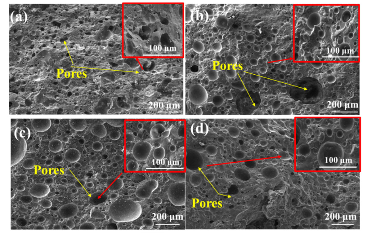 SEM morphologies of samples sintered at 1200 °C with different CG contents: (a) 0%; (b) 8%; (c)12%; and (d) 20%.