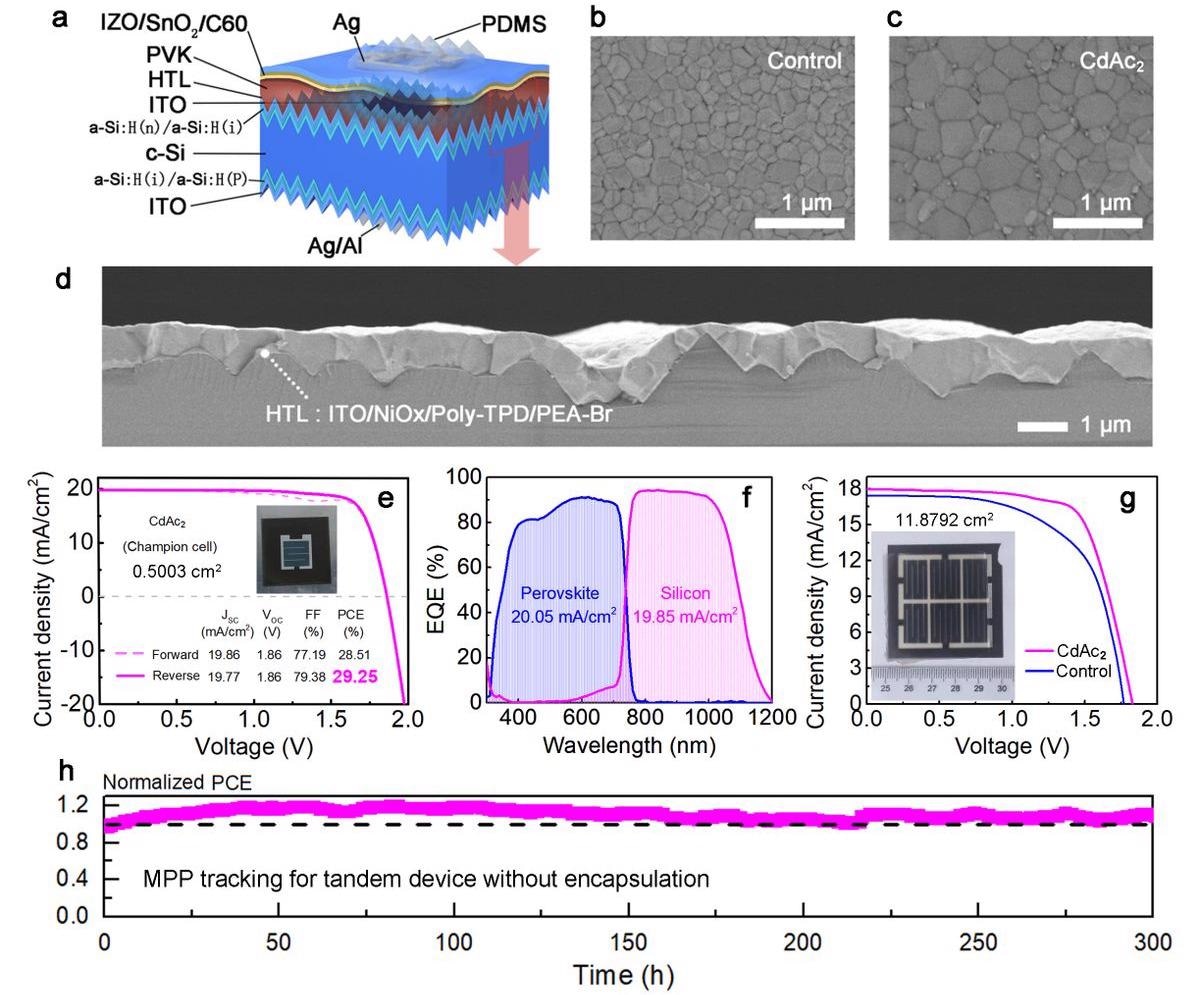 Characteristics of monolithic perovskite/silicon tandem solar cells based on textured substrate using CdAc2.