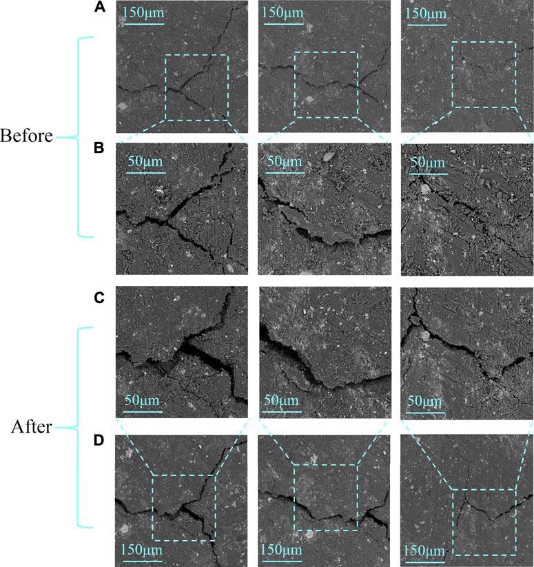 SEM images before (A,B) and after (C,D) the reaction; rows (B,C) are in high resolution, while rows (A,D) are in low resolution.