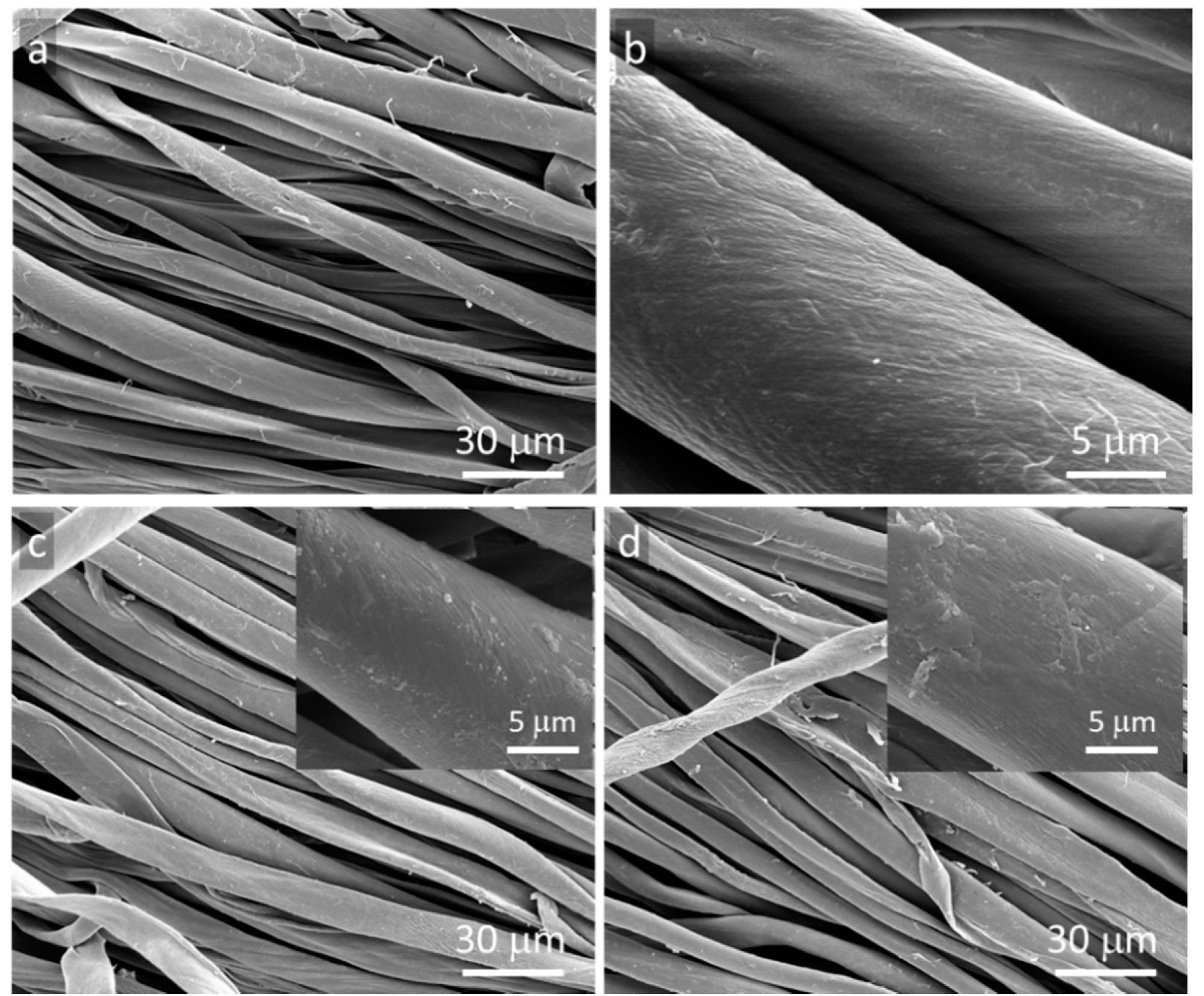 SEM micrographs of cotton fabric: (a,b) neat, (c) GO-coated, (d) rGO-coated.