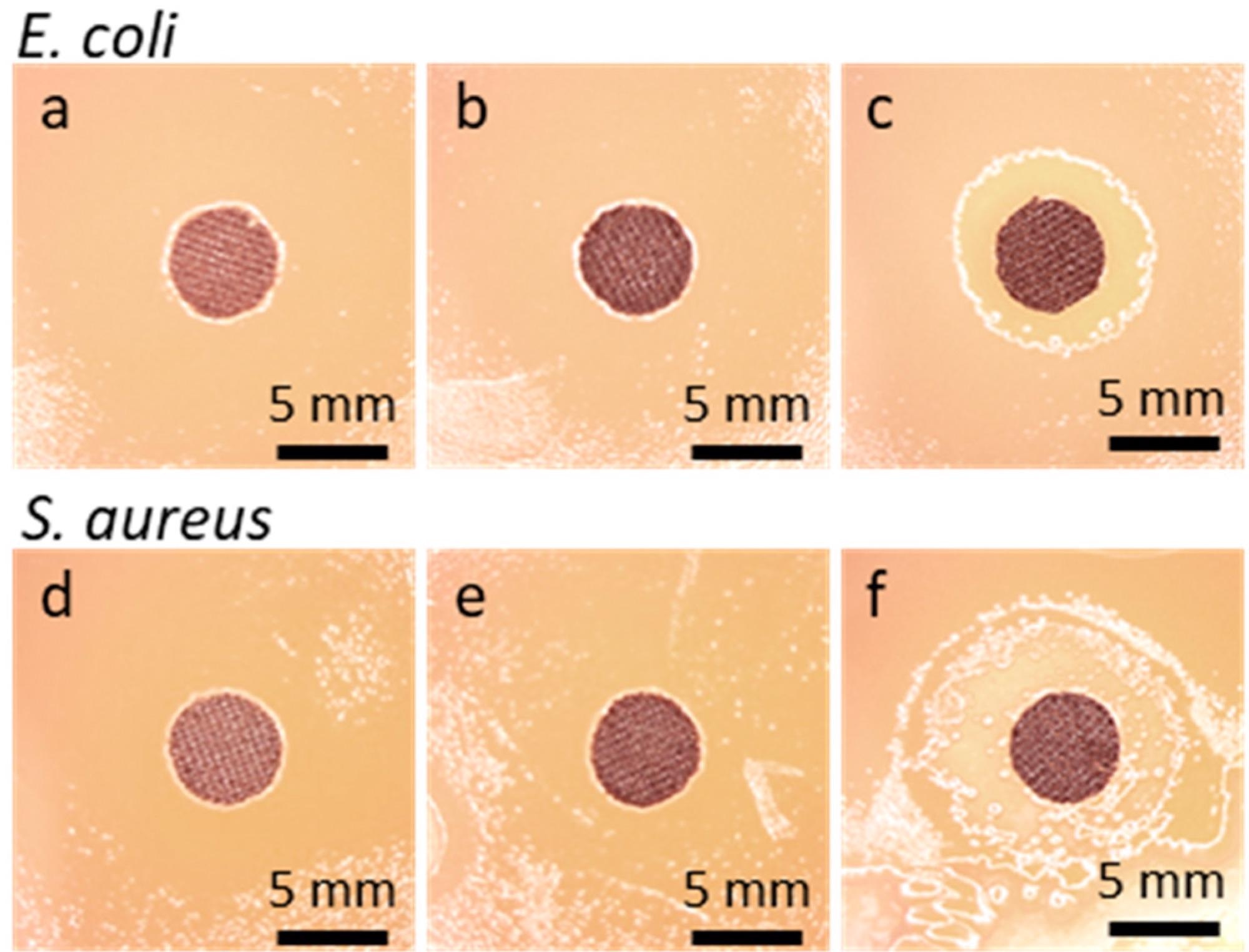 Disk specimens of cotton fabric on bacteria inoculated agar after 48 h incubation: E. coli (a) GO-coated, (b) rGO-coated, (c) Ag°/rGO-coated; S. aureus, (d) GO-coated, (e) rGO-coated, (f) Ag°/rGO-coated.