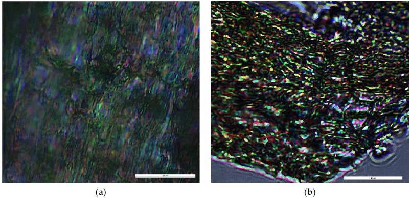 Images of the hydrogel under polarized light (scale bar: 20 µm), acquired on (a) thick and (b) thin sample of hydrogel.