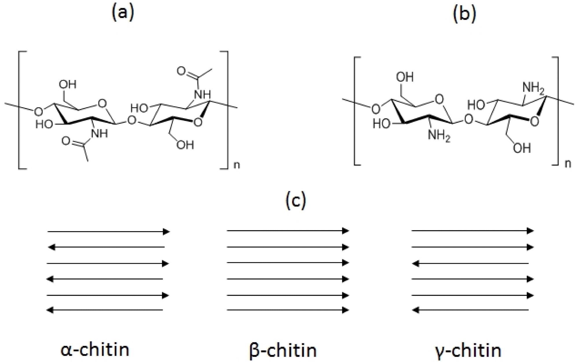 Structuri de bază ale chitinei (a) și chitosanului (b) și alomorfilor de chitină (c).  Vârfurile săgeților indică pozițiile capetelor reducătoare ale lanțurilor.