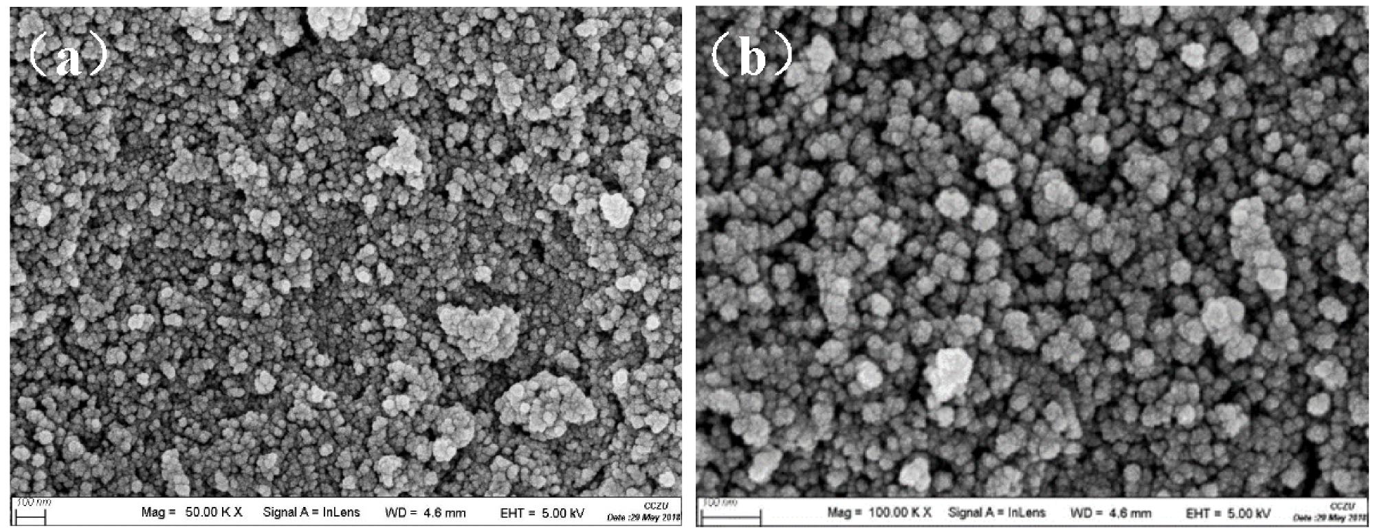 SEM image of silica aerogel powders at (a) 50.00 KX and (b) 100.00 KX magnification.