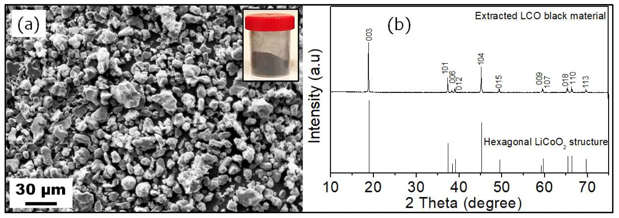 SEM image (a) and XRD pattern (b) of the extracted BM. The inset of figure (a) is a digital photograph of the extracted BM.