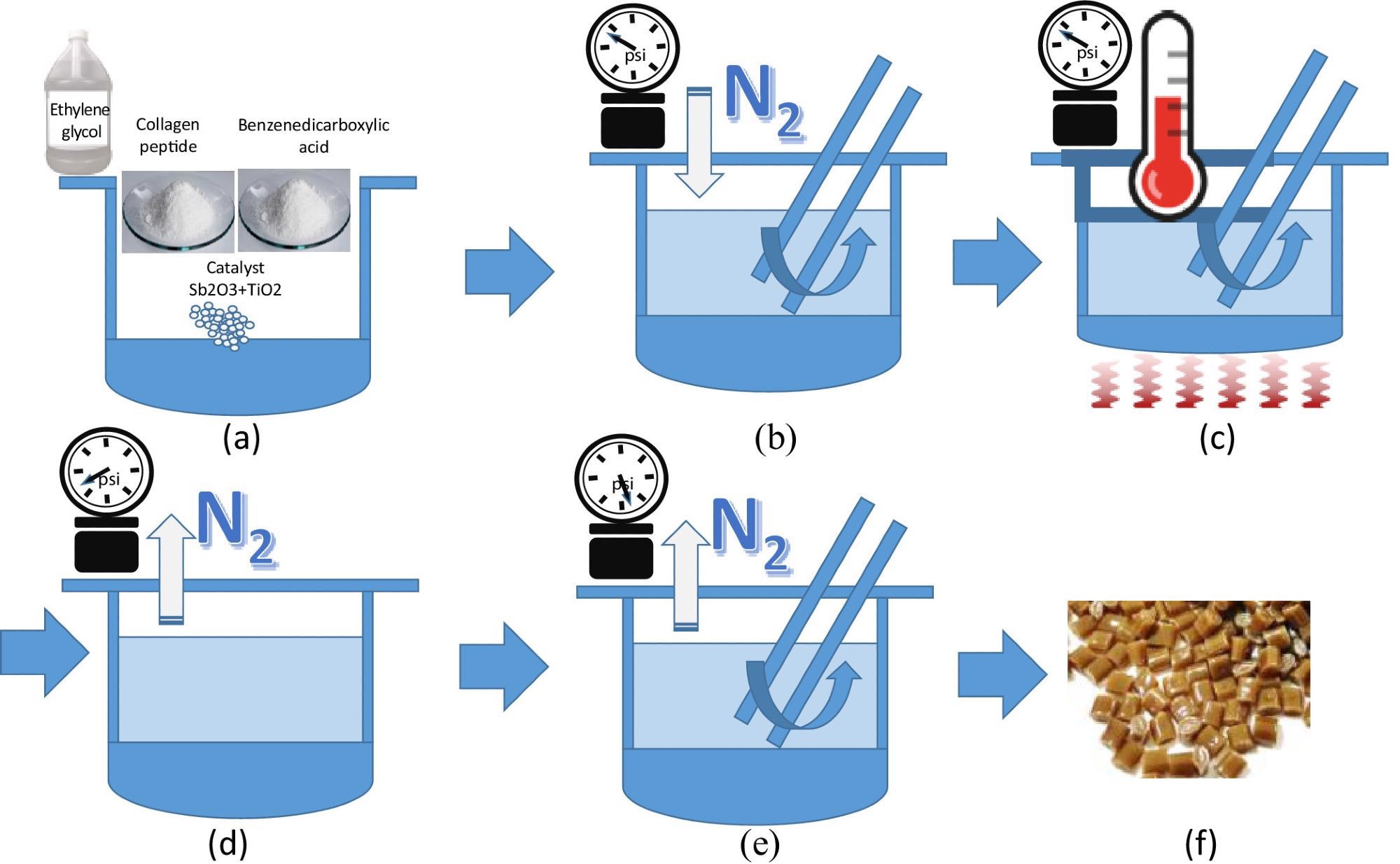 The stages of supramolecular polymerization. (a) mixing of raw materials and catalysts, (b) Introducing nitrogen into the container and stirring the mixture, (c) Heating the mixture for executing an esterification reaction from 210°C to 270°C, (d) Decreasing the pressure to 20 torr in the container for a polycondensation reaction, (e) Decreasing the pressure to 3 torr in the container and forming copolyester material and (f) the produced bionic polyester pellets. The values of pressure are not limited thereto and can be changed in accordance with the needs.