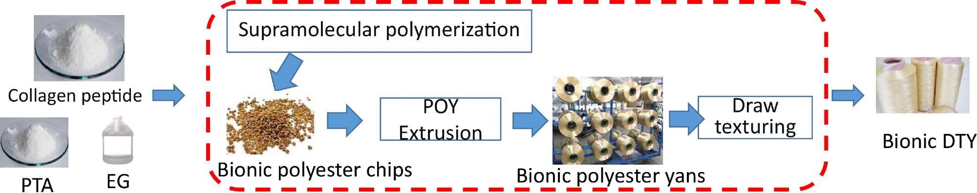 The process of producing collagen modified polyester materials.