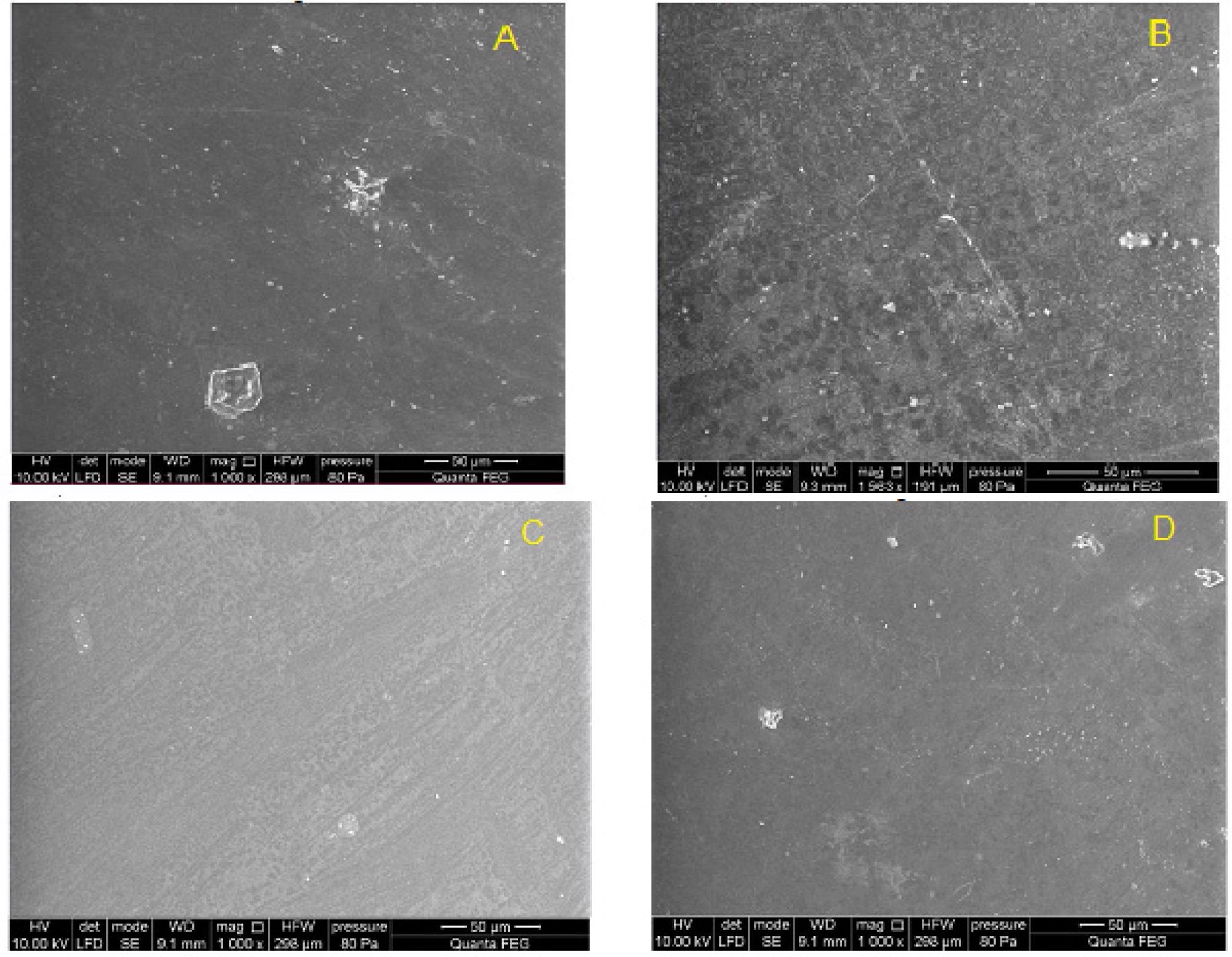 Surface of PET-DLA 70 copolymer: (A) not implanted, and (B–D) after 12-week implantation period.