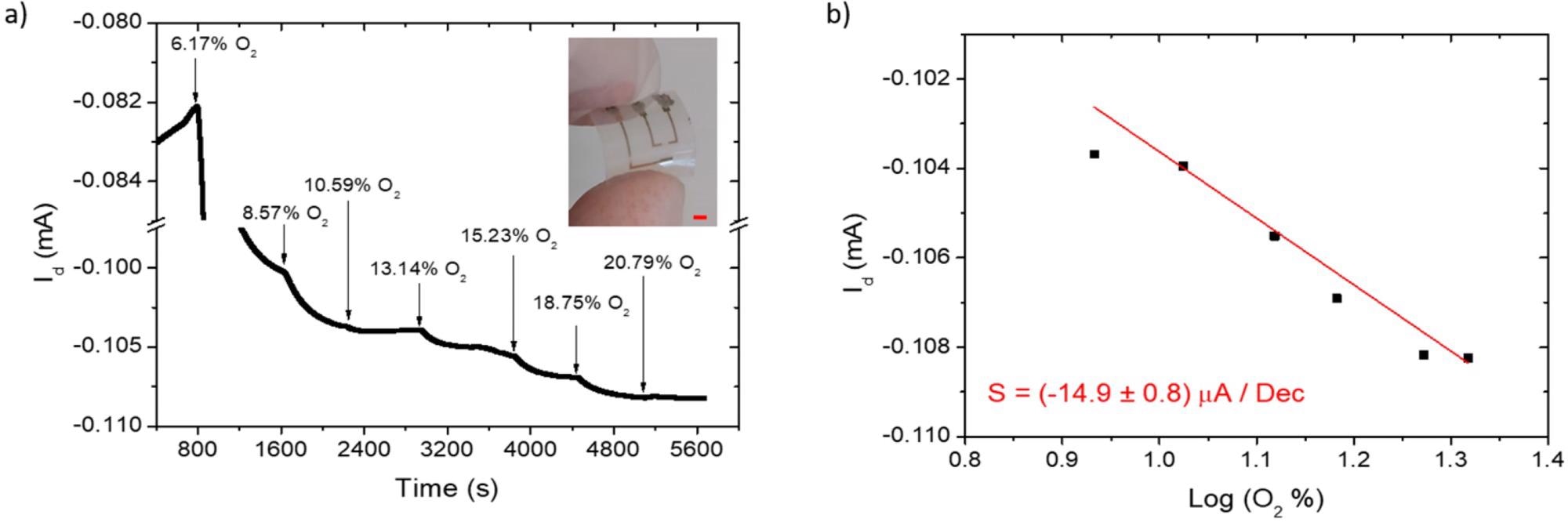 H-Thin OECT on PEN substrates for oxygen sensing: Id(t) measurement (a); sensor calibration curve (b); for oxygen addition (black arrows) in the sealed cell, starting from a nitrogen-saturated environment (0% of O2). The device picture is reported in the inset of (a); with a red scale bar of 2 mm.